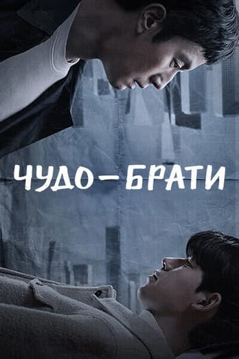 Диво-брати