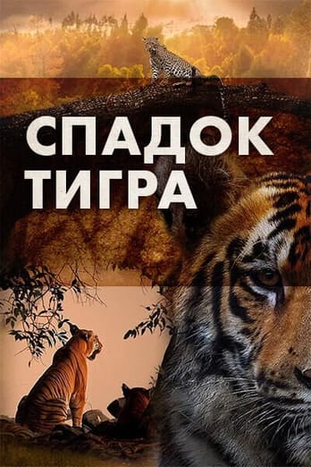 Спадок тигра