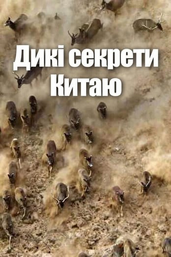 Дикі секрети Китаю