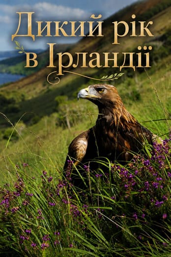 Дикий рік в Ірландії