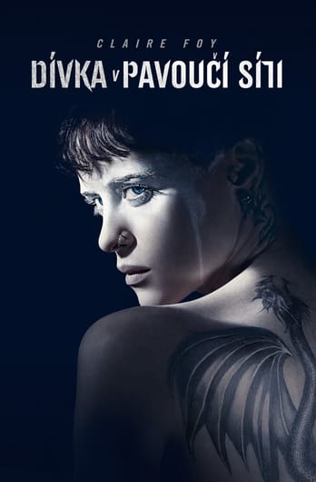Dívka v pavoučí síti