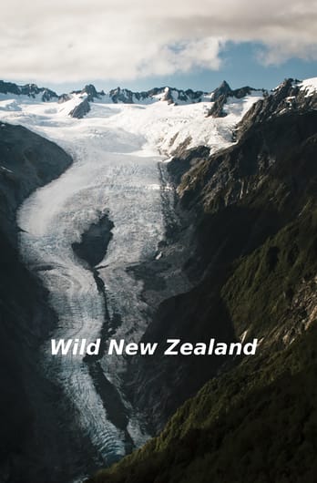 Wild New Zealand