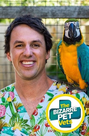 The Bizarre Pet Vets