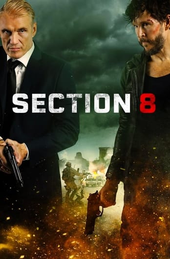Section 8