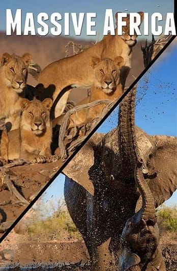 Massive Africa