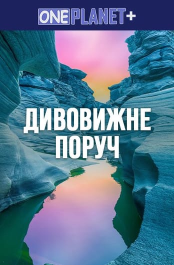One Planet +. The amazing is near
