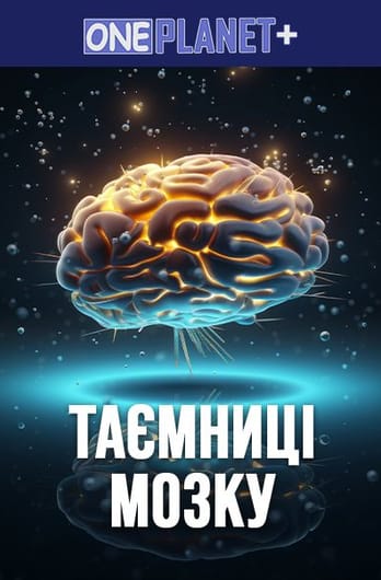 One Planet +. Таемниці Мозку