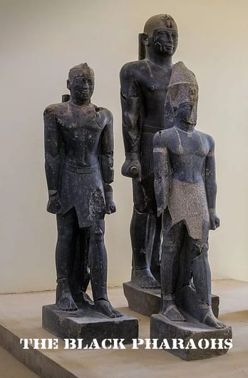 The Black Pharaohs