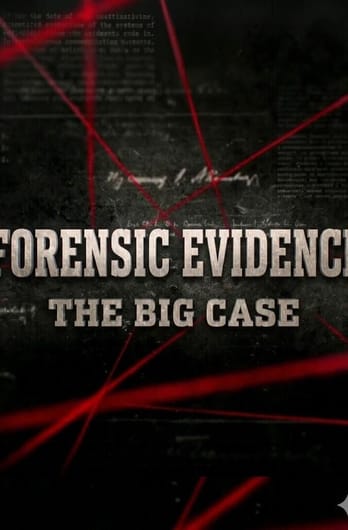 Forensic Evidence: The Big Case