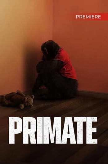Primate