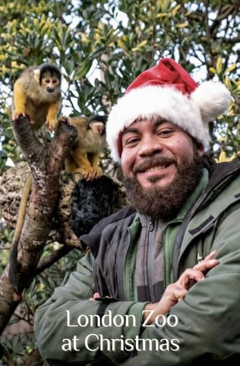 London Zoo at Christmas