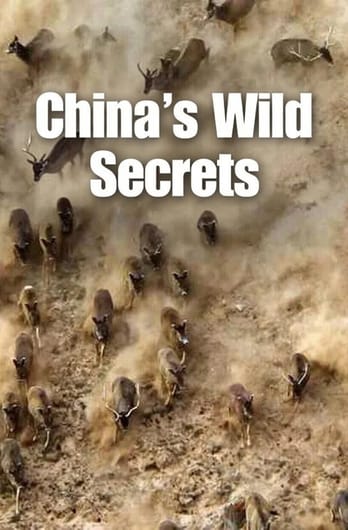 China's Wild Secrets