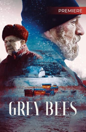 Grey Bees
