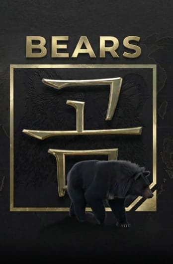 Bears