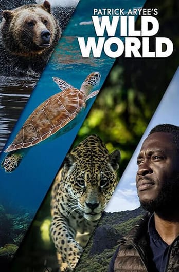 Patrick Aryee's Wild World