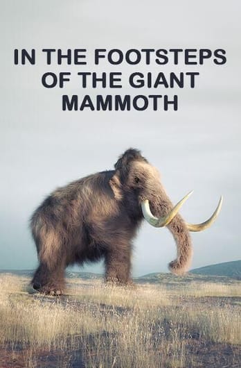In the Footsteps of the Giant Mammoth