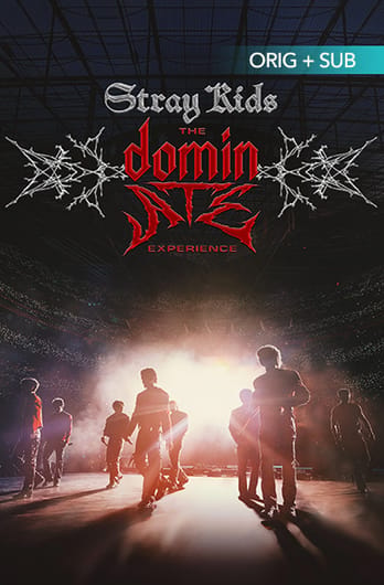 Stray Kids: The dominATE Experience