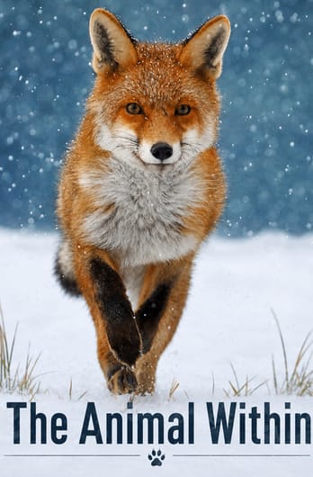 The Animal Within