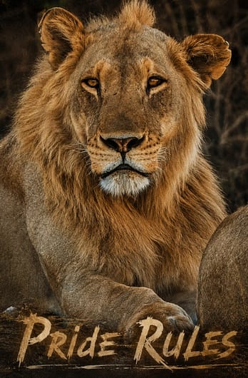 Pride Rules
