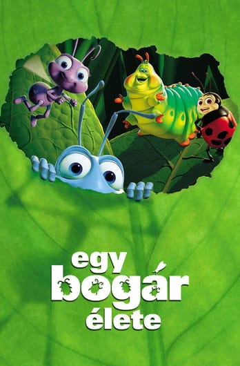 Egy bogár élete