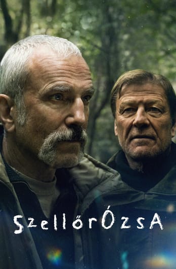 Szellőrózsa