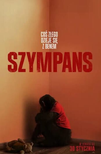 Szympans