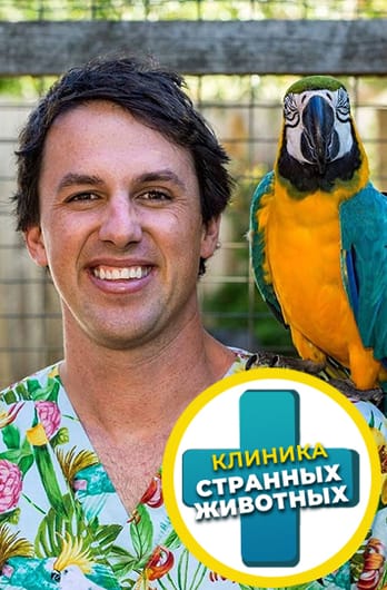 Клиника странных животных