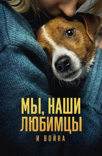 Мы, наши любимцы и война