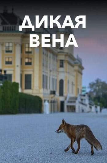 Дикая Вена