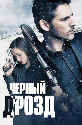 Чёрный дрозд
