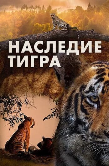 Наследие тигра