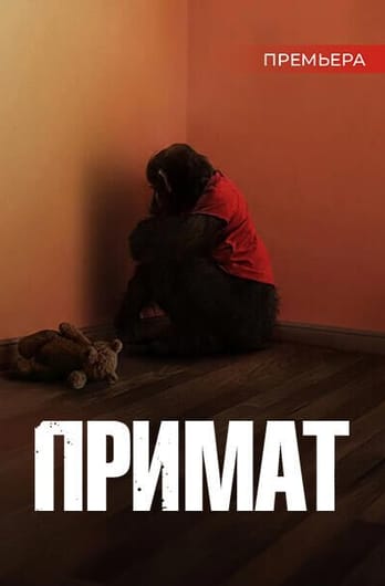 Примат