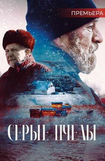 Серые пчелы