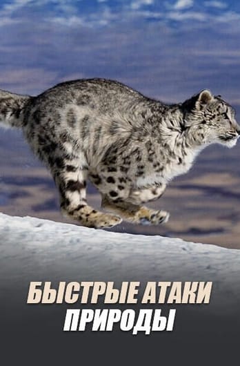 Быстрые атаки природы