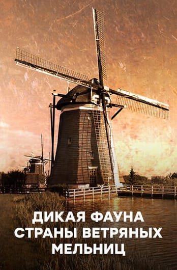Дикая фауна страны ветряных мельниц
