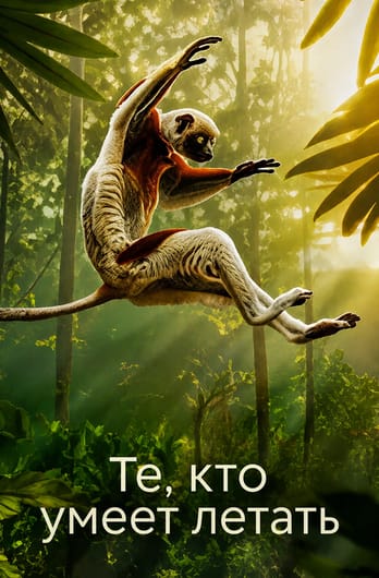 Те, кто умеет летать