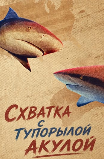 Схватка с тупорылой акулой