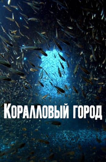 Коралловый город