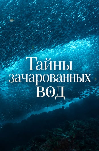Тайны зачарованных вод