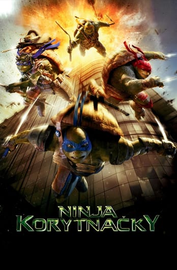 Ninja korytnačky