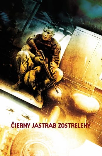 Čierny jastrab zostrelený