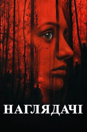Наглядачі