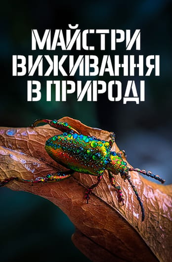 Майстри виживання в природі