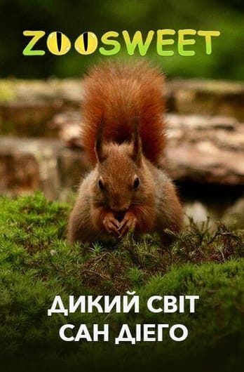 Zoosweet. Дикий світ Сан Діего