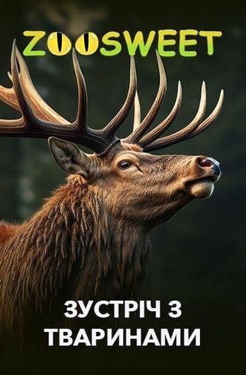 Zoosweet. Зустріч з тваринами