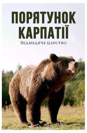 Порятунок Карпатії: ведмедяче царство