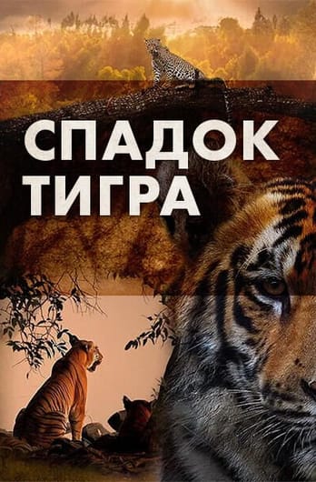 Спадок тигра