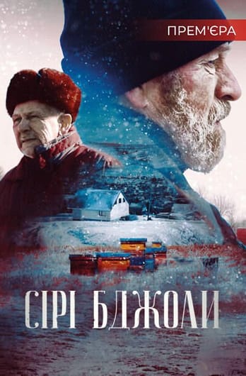 Сірі бджоли