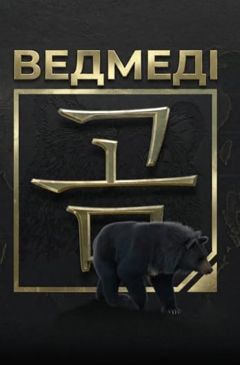 Медведи