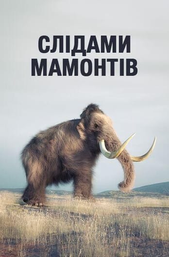 Слідами мамонтів